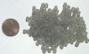 100 4mm Transparent Matte Black Diamond Round Glass Beads